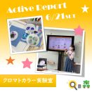 6月21日(土) クロマトカラー実験室～色を分解して模様を描こう～