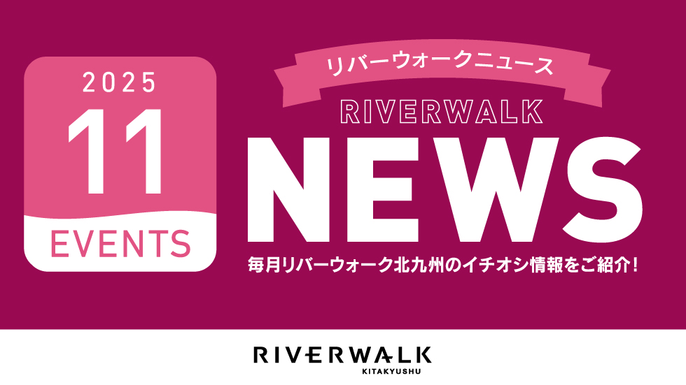 news 11月